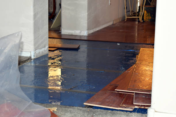 Professional Flood Cleanup technician working in Custer, MI