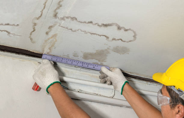 Reliable Flood Cleanup contractor in Custer, MI by Water Damage Irwin